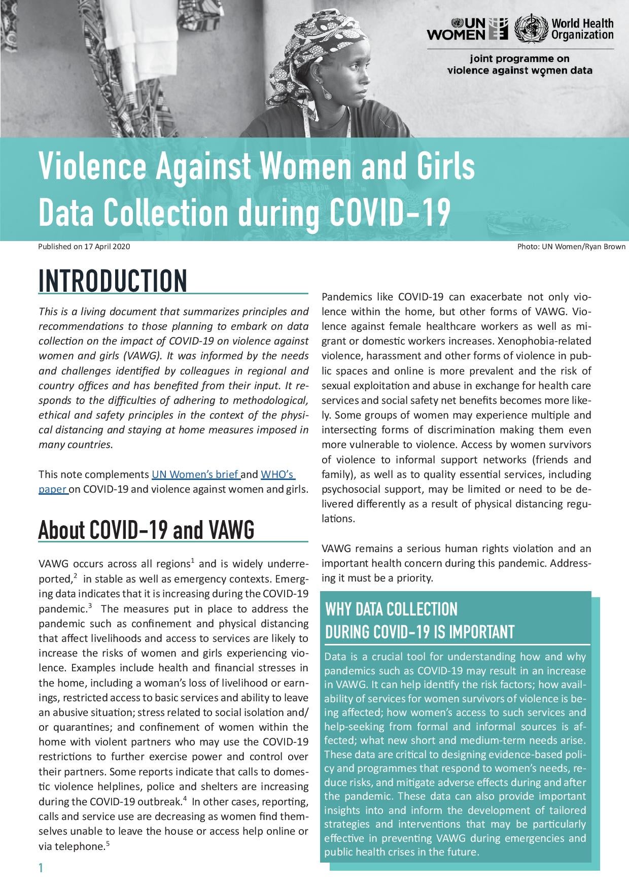 VAWG COVER ENG.jpg Violence Against Women and Girls Data Collection during COVID-19