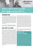 Violence Against Women and Girls Data Collection during COVID-19